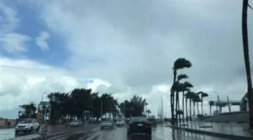 تحذير للمسافرين والمزارعين.. توقعات هيئة الأرصاد الجوية لطقس السبت 17 يناير 2026